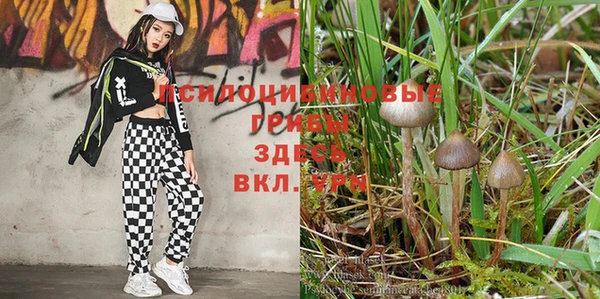 круглые Михайловка
