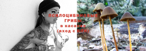 a pvp Михайлов